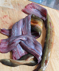 ��������ĸ�����˿�� ���˿�ζ����������а��Ǻͽ��ͣ�