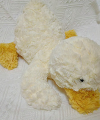 �ֲ��˰�����ż