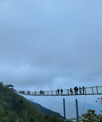 ����ȥ�������ϲ�ԭ �߿���Ŀ�ܴ̼� ��������Եĺܹ�