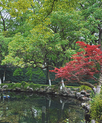 һȥ԰ʲôʱһСѧʱȥ