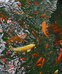 һȥ԰ʲôʱһСѧʱȥ