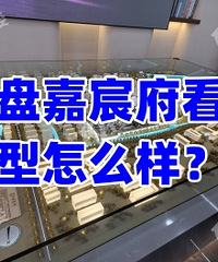 ��巸����ˣ�ò�ƻ�����ƻ��ǲ�����...