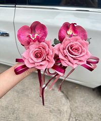 ���ź������Ļ鳵����̫���ˣ���װҲ��