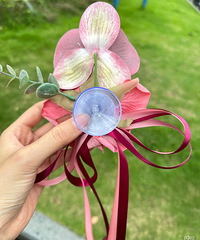 ���ź������Ļ鳵����̫���ˣ���װҲ��