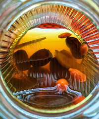 Ů���������ʱ�����ȵ����ȵ�����Ķ��� �����Ĳ�����