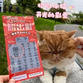 ��Сè�������ر�����