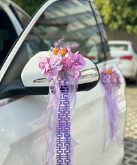 �鳵���������� ��ֱ̫���ˣ�