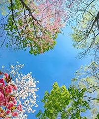 û��Ұ�׷��Ĵ����ǲ������ģ�������óԣ�