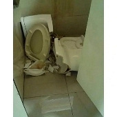 ������Ͱ�Ϸ���17�룿