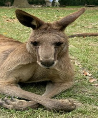 ��ˢ������ȥ���Ϻ�Ұ������԰��