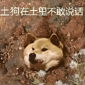 ��Щװ�޻��low��