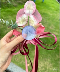 ���ź������Ļ鳵����̫����