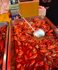 ����19¥ȥ����Ϻ�� �Ի���ϲ����ζ����ͦ��