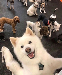 ���ᣡ����2��ĺ����б�Ҫ���а�����Щ����˵û��Ҫ��