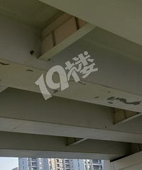 ����·�ײ�ǽƤ���䣡