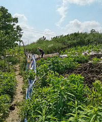 ���˲���ʮ������������Ȼ��͵�ˣ�ȥ��͵�˽���͵��