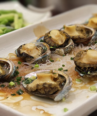 �𻪵ľ�ϯ�ǲ��Ƕ�����ϲ����ͷ����Ƥţ���ҿ��źö�