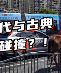 ץ�ĵ��й�糵���������ɡ�