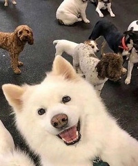 ���ᣡС������2����  �б�Ҫ���а���