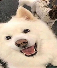 С���б�Ҫ���а���̫������...