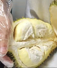 ����Ҳ��ʼ�����ˣ������һ������ �����ʾ�Ȼ�С���