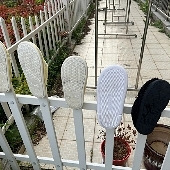 ϴ�»�ϴЬ�ӱ�����