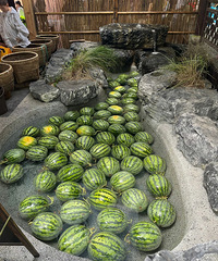 ��·�ɳ������Ư���������δ�...OMG������԰ֵ��һȥ��