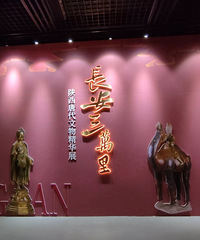 ���˲�������ڿ�չ�������������չ��������ȥ���ܲ�����