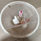 ����Ͱ��Զ�����⣡