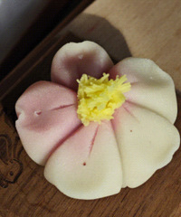 ���������ʽ����Ӫ���Χ ̫���ˣ�