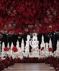 �Ǳ����õ�� Ũ�������� ���������� ��ײ�����ȵĽ���