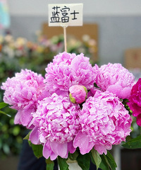 ȥȻҪȥ޵һУĻ5һѣ