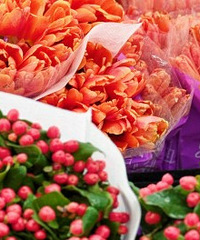 ȥ������ȻҪȥ���޵�һ���� 5��һ�ѻ���