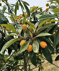 ���ݵĶ�ɽ���������˽�Ŀ����� ���ǻ������� ���е���