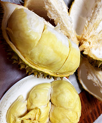 ��ʼ���������������ۣ��巿�ɰ�����Ƥ������С��