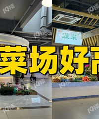 ���²˳��Ѿ�nextlevel��