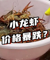 �����˵�С��Ϻ�������ˣ�