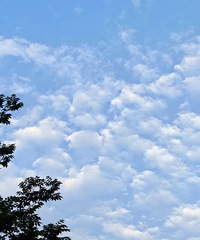 С���ѱȽϸ�ĸְҵ