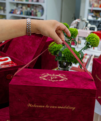 ɹ�����˵ġ�����ϲ�� ֲ��+�̽�+�������˵Ļ���logo