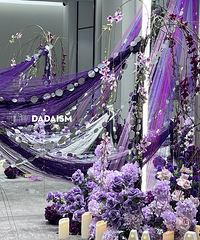 520����ҷ���һЩ��ͬ����鲼�� ���˵������ǿ�������ҵ