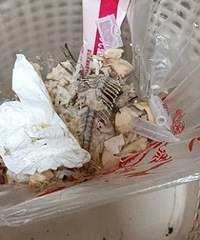 ���ʣ����˶���ϲ������������