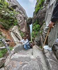 СС��ɽ����ǧ��ҪС��С���ѵ����� ȫ���Լ���