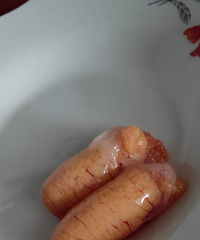 ���������� һ����������һ�ڳ������Ķ������� ������