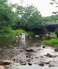 һ����ˮ�ĺõط� �����ͣ��λ