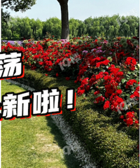 ��ĺܺÿ�����ĩ��Ѽ��