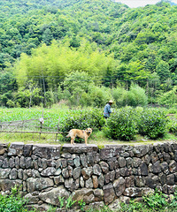 ���˰����С���� �ɲ���Ϫι�� ����ͽ��С�ڱ�����·