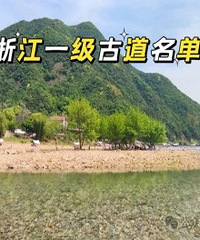 �㽭ʡһ���ŵ����� ��115��ͽ��·��