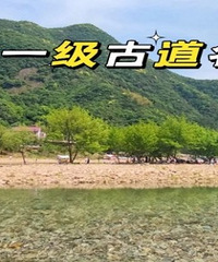 �㽭ʡһ���ŵ����� 115��·��