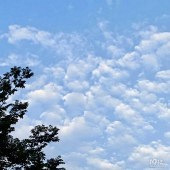 С���ѱȽϸ�ĸְҵ