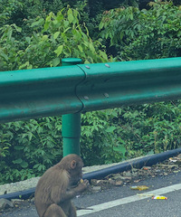 �Լ��������ϴ����� ��Ұ����ȺŶ��